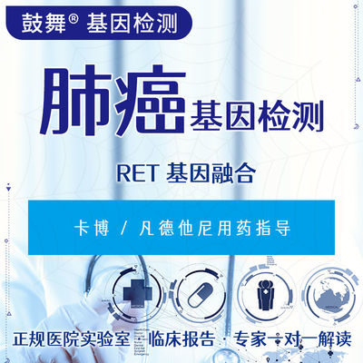 खरीदें आरईटी जीन फ्यूजन फिश कैंसर के लिए आनुवंशिक परीक्षण 6 कार्य दिवस चक्र online manufacture